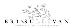 Bri Sullivan Photography Logo