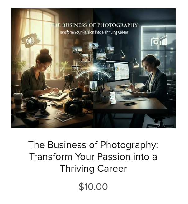 Picture of a photographer sitting in her studio office working on her computer.
